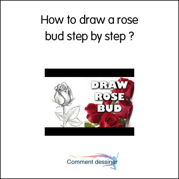 How to draw a rose bud step by step
